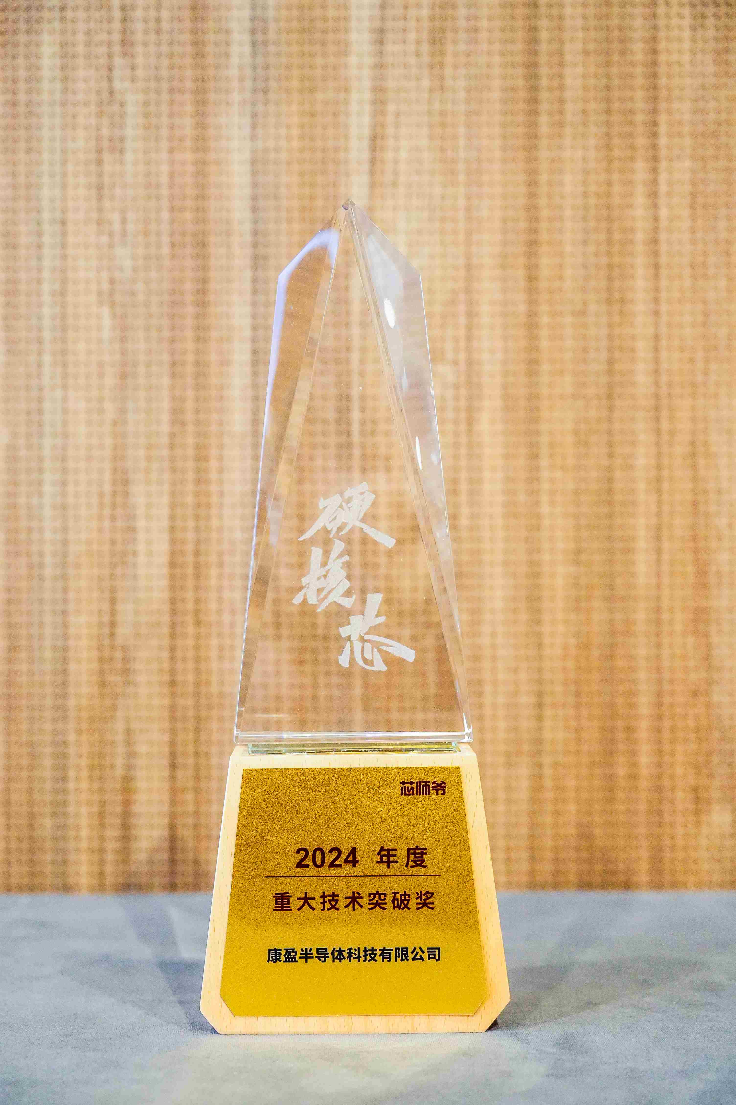 2024年度度重大技术突破奖