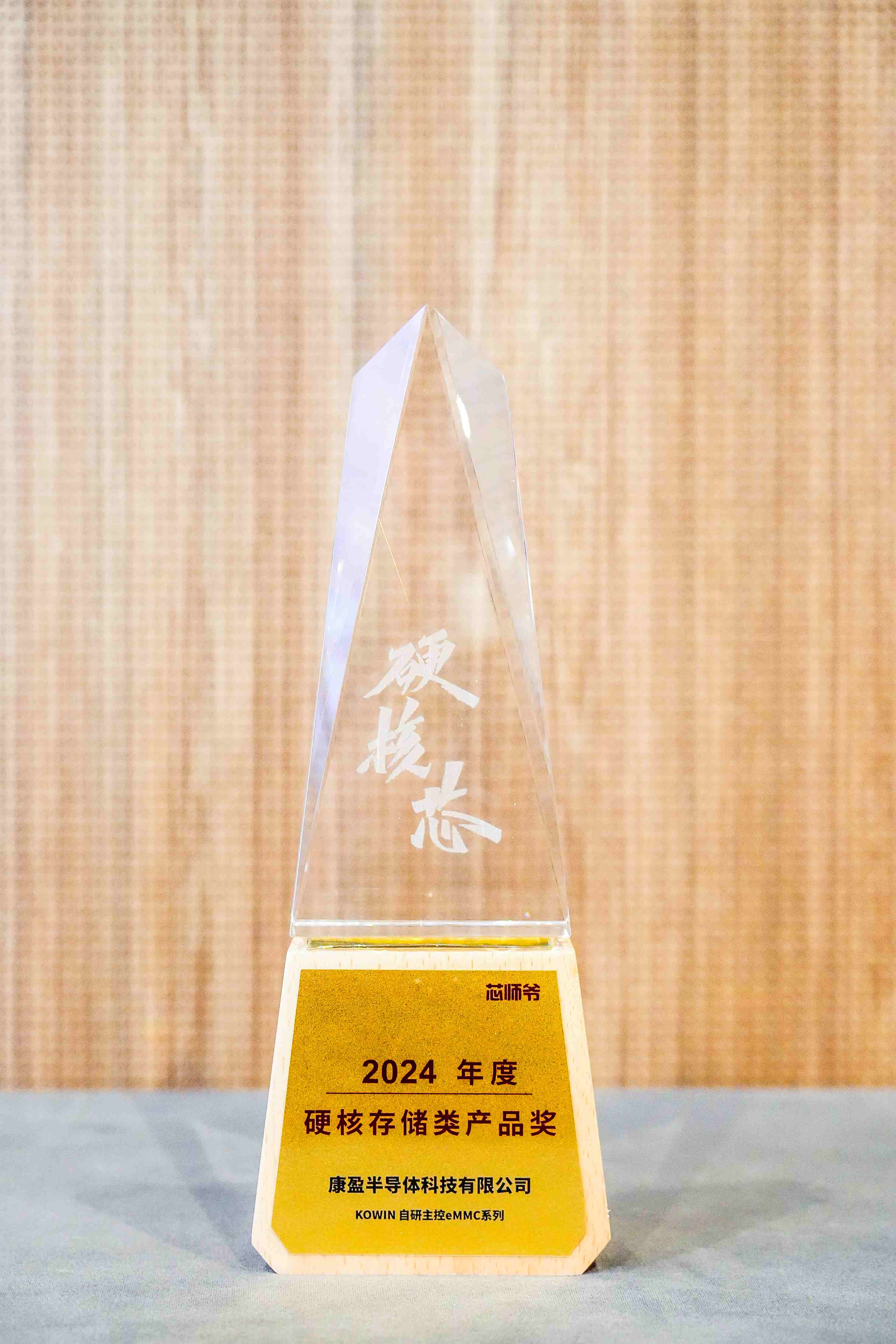 2024年度存储类产品奖