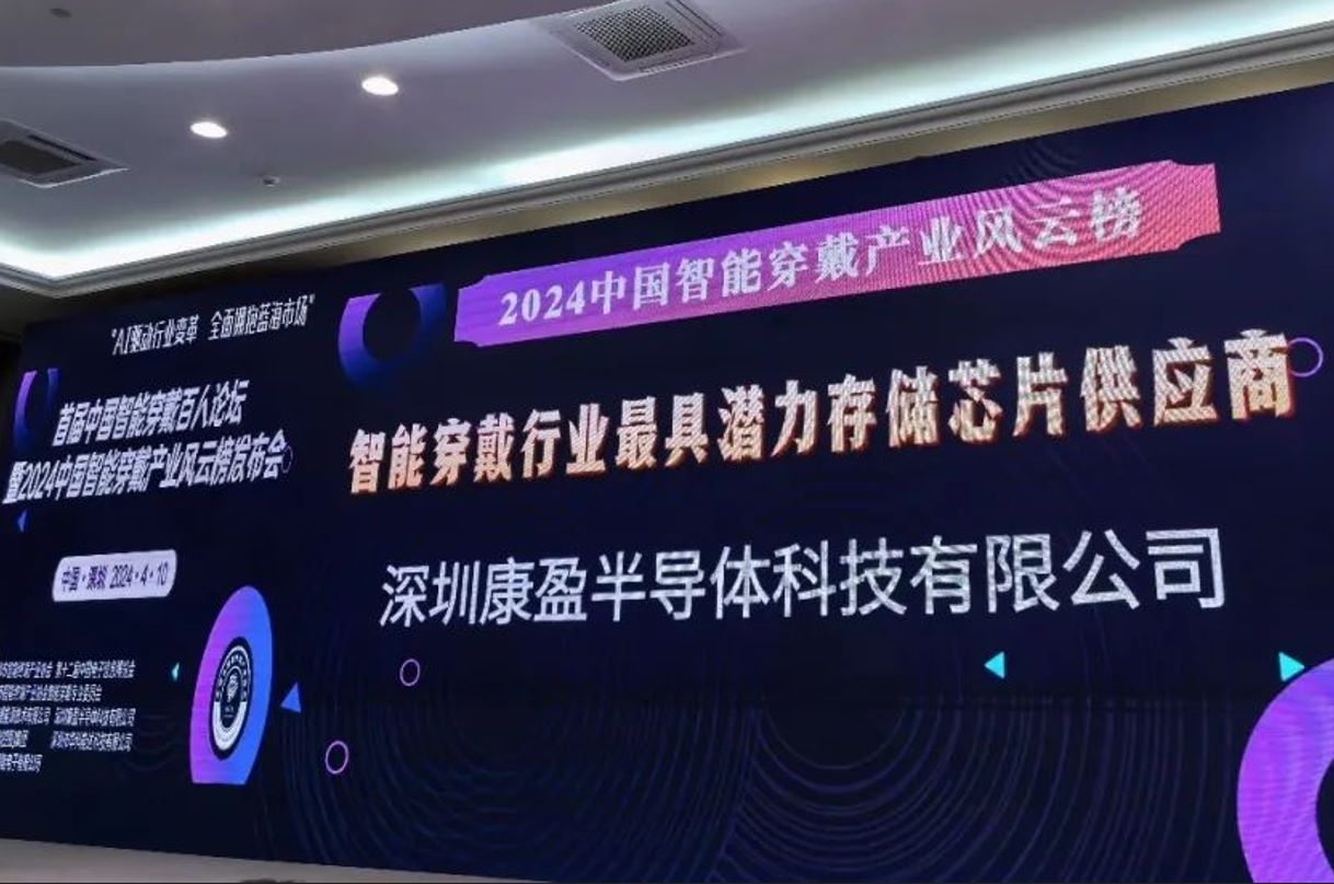 智能穿戴行业最具潜力存储芯片供应商奖